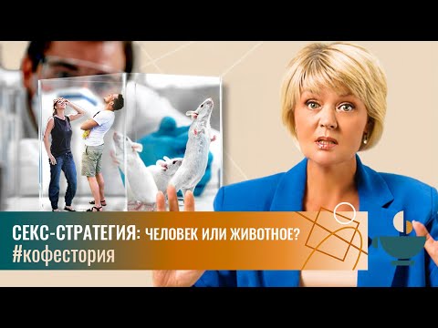 Секс-стратегия: человек или животное? Как внедряются новые «нормы» #my_coffeestory #кофестория