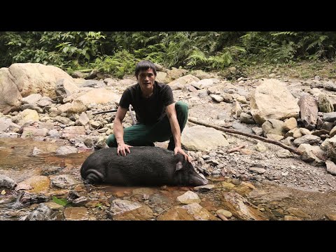 Processing a Giant Wild Boar in Record Time | Smoked Meat Preservation