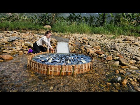 The girl caught a lot of fish from the traps she made herself and took them to sell.