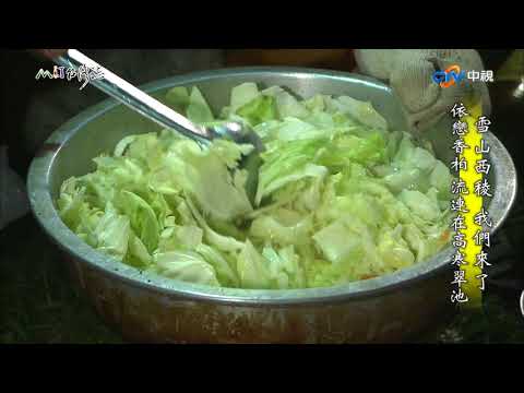 【台灣誌 #790】／雪山西稜 我們來了 依戀香柏 流連在高寒翠池／20170827