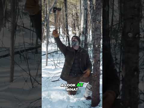 Axe Safety Starts Before the First Swing
Before you fell a tree, check your footing—and then check