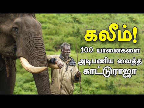 கலீமும் நானும் அண்ணன் தம்பி/யானை-பாகன் பாசக்கதை! | Story of Kaleem Elephant and its Instructor