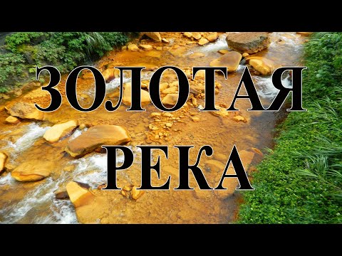Золотой песок золотой реки