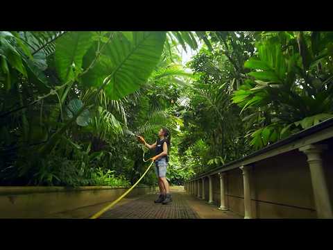 Inside Kew Gardens During Peak Summer (4K Documentary)