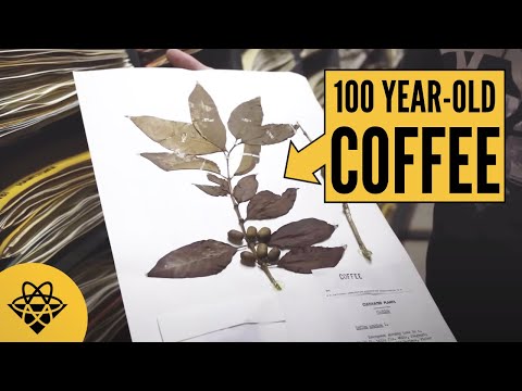 The 200-Year-Old Science Hack That Preserves Plants Forever