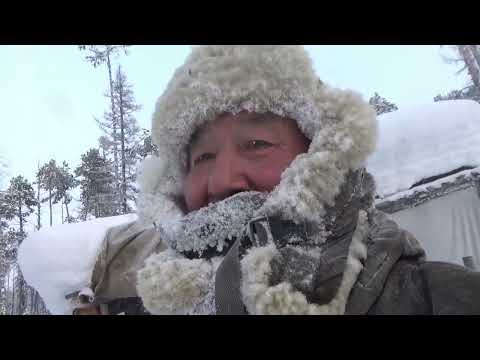 Проверка капканов. Охота на соболя 2025 год. Якутия.