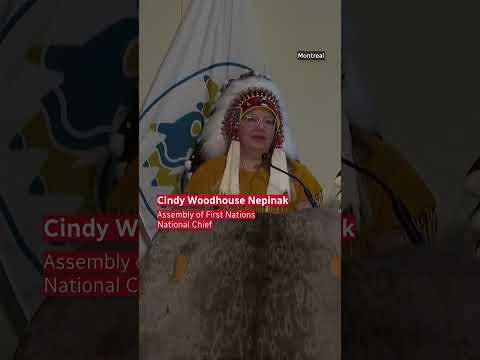 Dozens of repatriated Indigenous cultural items arrive in Canada