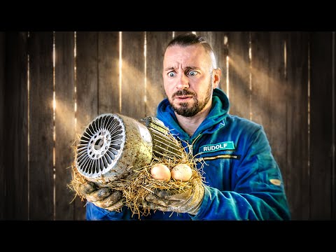 What has MOTOR turned into from a chicken coop?