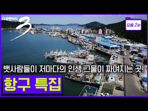 [모음zip🔴항구] 새벽 바다로 향하는 어민과 신선한 해산물이 가득한 항구 총집합 #주문진 #감천항 #삼천포 #구룡포 #흑산도 #후포항 | 다큐3일 | KBS 2008년🔁2015년