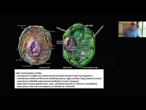 Стив Дивер о гумусе и биологии почв.