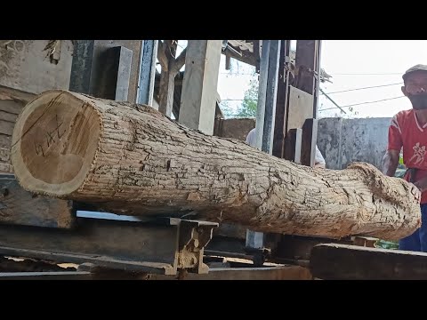 A very beautiful casual style in wood processing at the sawmill 