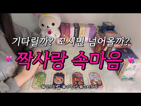 (소름주의!) 짝사랑 상대방의 속마음💌✨, 기다리면 어떨지, 꼬시는 방법❤️, 디테일 리딩과 조언카드 등 함께 알아보아요.🥰