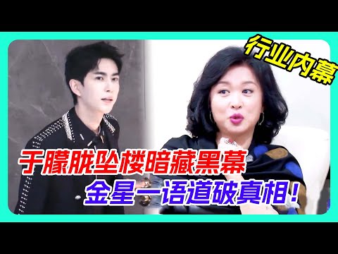 金星一句話破於朦朧墜樓真相！#娱乐圈 #八卦 #内娱 #yumenglong #jinxing