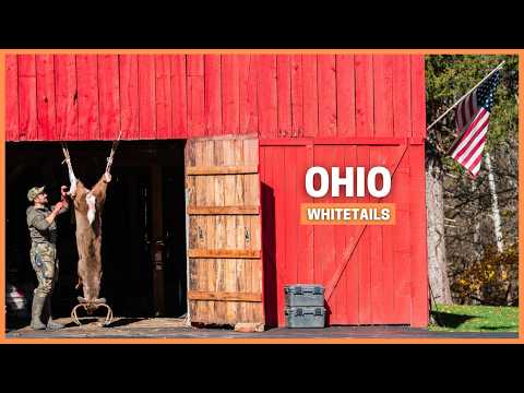 Discovering Why Whitetail Hunting Is So Addictive in Ohio.