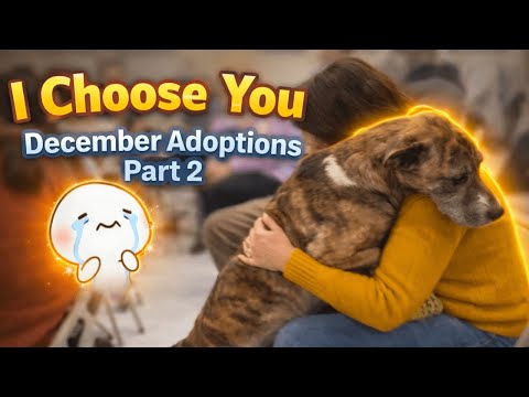 A Room Where Dogs Find Their People - Adoption Day | Part 2
