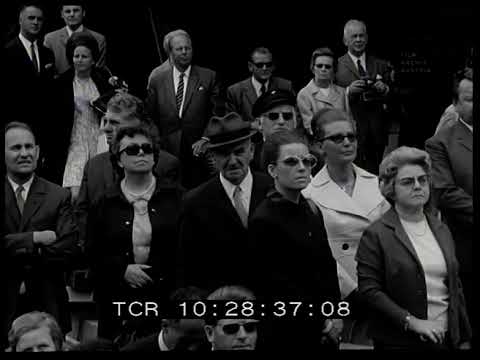 Hochseefrachter aus Korneuburg