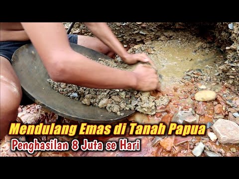 GAINS GOLD IN THE LAND OF PAPUA..! INCOME 8 MILLION A DAY || TRADITIONAL GOLD PANNER