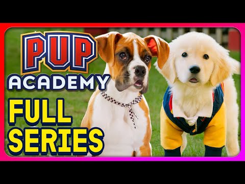 Pup Academy Full Series Movie! (Every Season 1 and Season 2 Episode, Full Seasons)