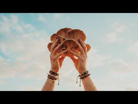 I Found a Better God