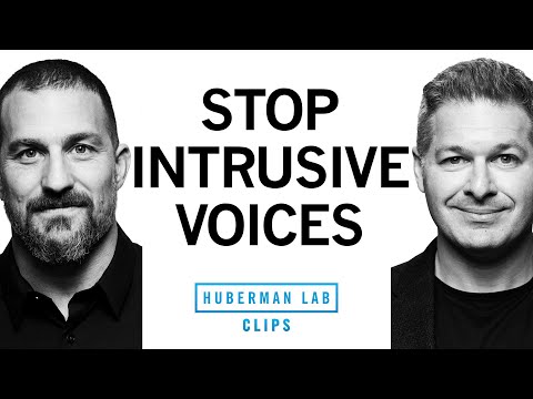 How to Stop Intrusive Voices | Dr. Ethan Kross & Dr. Andrew Huberman