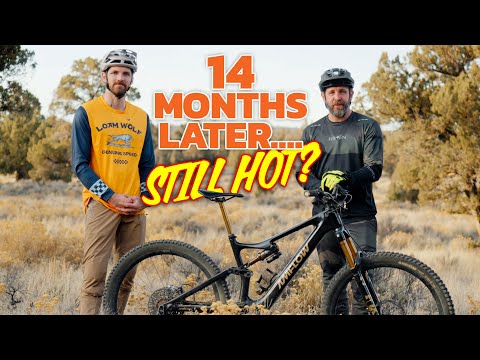 Amflow PL Carbon Pro - Passed Around and Parked Dirty