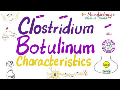 Clostridium botulinum Toxin (Botox) - Characteristics - Microbiology 🧫 & Infectious Diseases 🦠