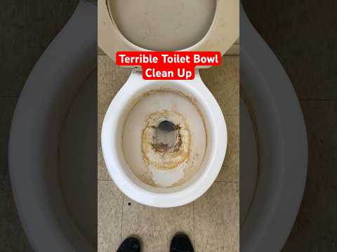 The Dirtiest Toilet Bowl I Have Ever Cleaned