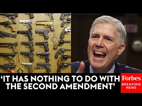 Neil Gorsuch Demands Attorney Respond To Argument That Case Is Not Actually About Gun Rights