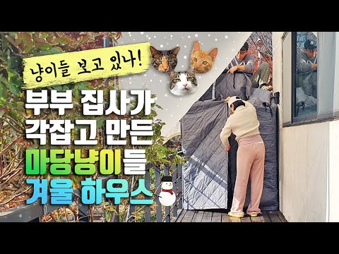 ☃The first winter for the yard cats ❄ We gave them the warmest winter home ever!