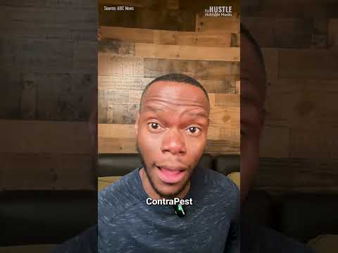 Can Birth Control Help Cities With Rats?