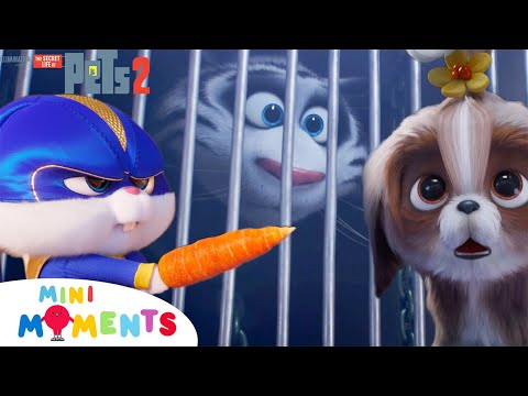 Snowball Rescues Hu?! π²π―β¨ | The Secret Life Of Pets 2 | Clip | Mini Moments