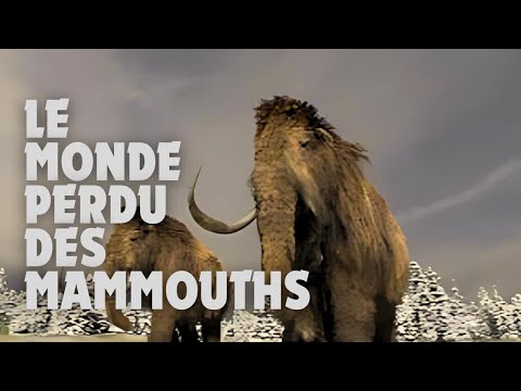 Pourquoi les Mammouths ont disparu ?
