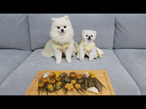 How to Have a Happy Holiday with Your Puppies