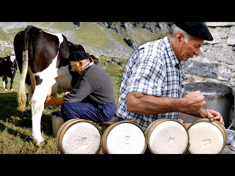 QUESO artesano en una cabaña del Pirineo. Elaboración en 1996 con leche recién ordeñada | Documental