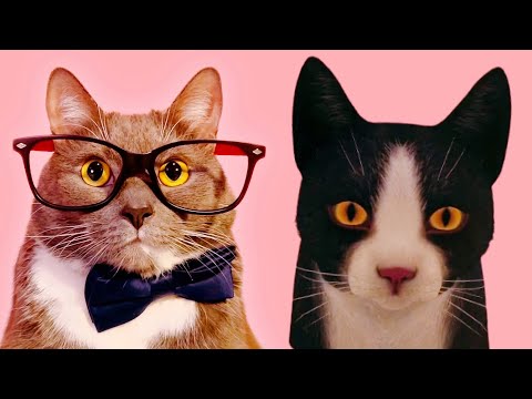 ГЕННАДИЙ стал ПРИЁМНЫМ КОТИКОМ в COPYCAT!