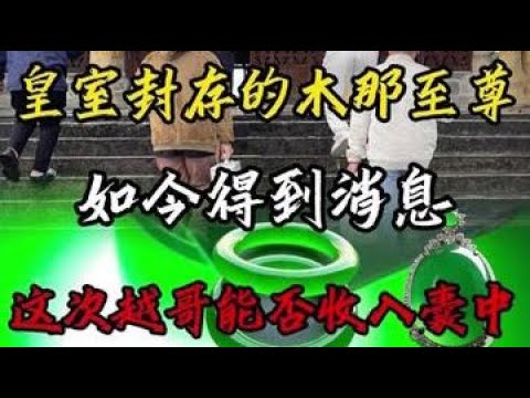 皇室封存的木那至尊，如今得到消息这次越哥是否能收入囊中？#翡翠 #翡翠手镯 #翡翠原石 #缅甸翡翠 @DOU+小助手 @抖音小助手