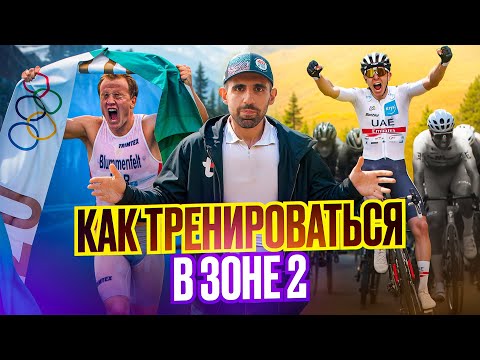 Секрет выносливости: почему элита тренируется во 2-й зоне