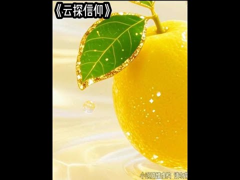 云探信仰 #文荒推荐 #炒鸡好看小说 #适合女生看的小说推荐