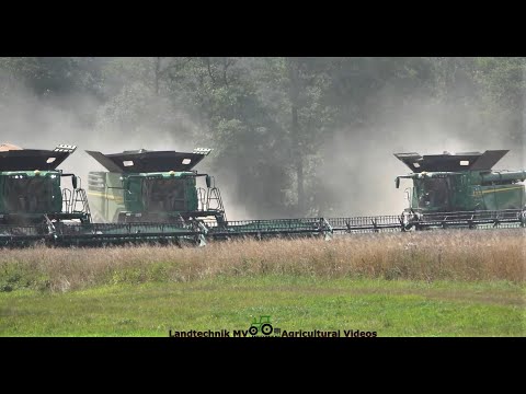John Deere - Massey Ferguson / Getreideernte - Grain Harvest 2022 The Wohle Story