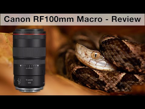 Canon RF 100mm f/2.8 L IS Macro - Review from Costa Rica