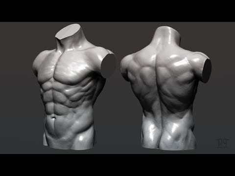 Torso Speed sculpting