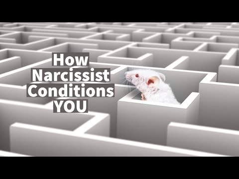 How Narcissist Conditions YOU