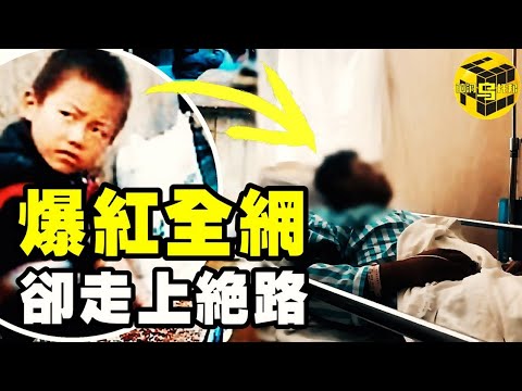 【小烏說案】9歲爆紅網絡，17歲做出極端選擇，是什麽讓風靡全網的他走到了這一步？  [腦洞烏托邦 | 小烏 | Xiaowu]