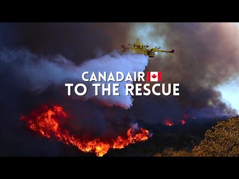 The Greatest Fire Extinguisher Ever Invented