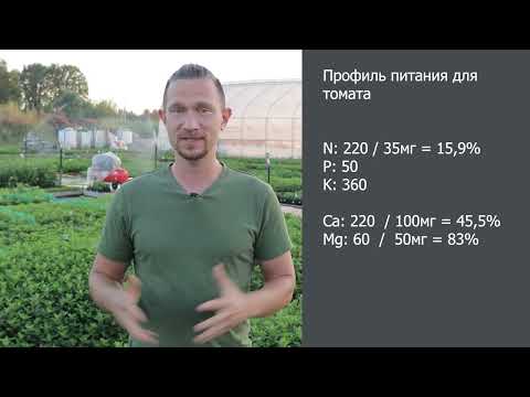 Какой водой поливать растения?