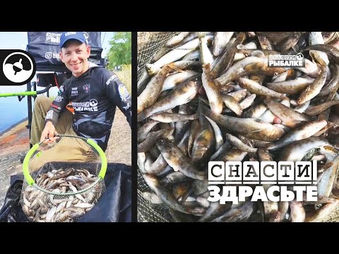 Чемпионат России по фидеру 2019 | Снасти, здрасьте!