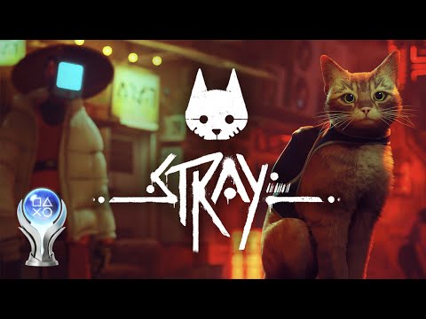 Stray Platinum is basically PERFECT. Stray Platinum Review