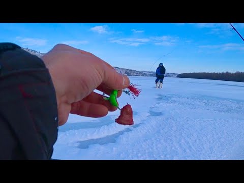 ЭМОЦИИ У НЕЕ ЗАШКАЛИВАЮТ ПЕРВЫЙ ЕЕ ТРОФЕЙ рыбалка зимой 🔥