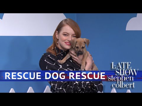 The Late Show 'Rescue Dog Rescue' With Emma Stone