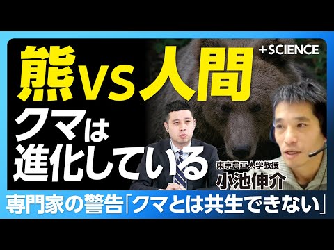 [The reality that bears and humans cannot coexist] Why are bears appearing in urban areas? | One ...